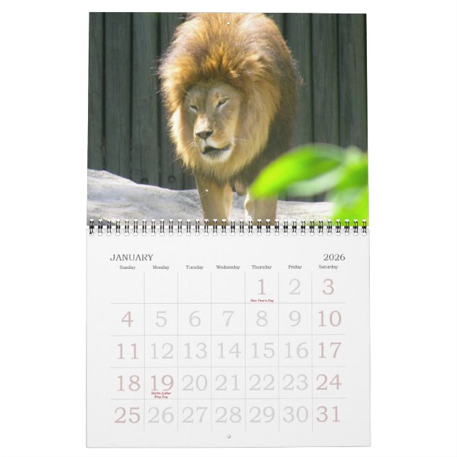 UM MUNDO do calendário dos ANIMAIS (Jan 2026)