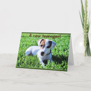 UM NOVO ADOLESCENTE VOLTA ***13*** CARTÃO