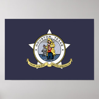 Um novo sinalizador para Houston poster