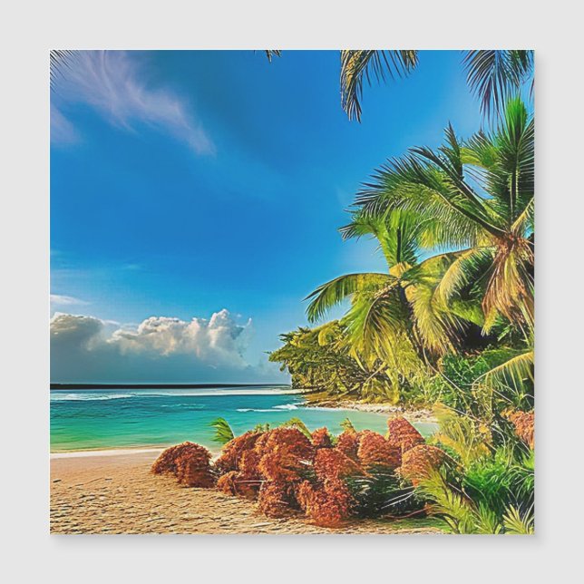 Um paraíso tropical. (Frente)