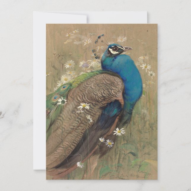 Um Pavão e Margueritas | Edwin John Alexander (Frente)