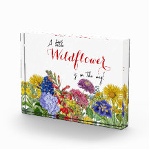 Um Pequeno Vestido no Caminho Bebê no Sinal de San