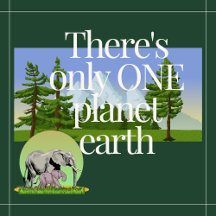 Um planeta Terra- Camisa Doce Básica Masculina