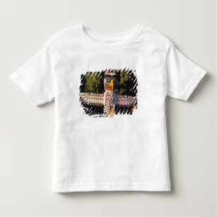 Um polo totem Em Vancouver, Canadá.