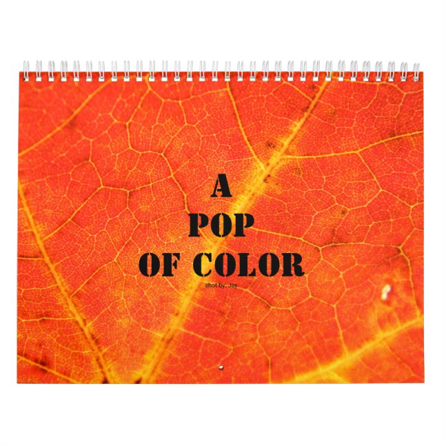 Um Pop de Calendário de Cor (Capa)
