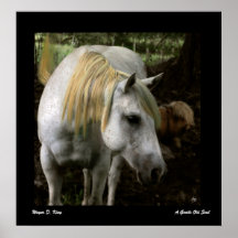 Um Poster de Alma Gentil