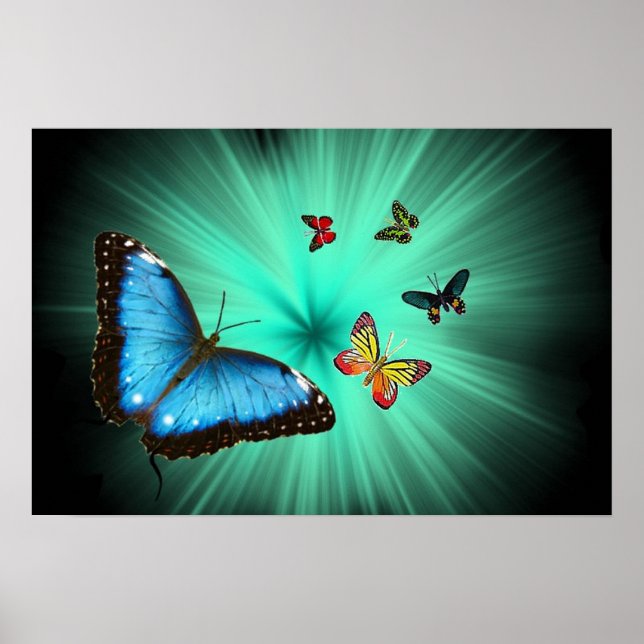 Um Poster de Jornada de Butterflys (Frente)