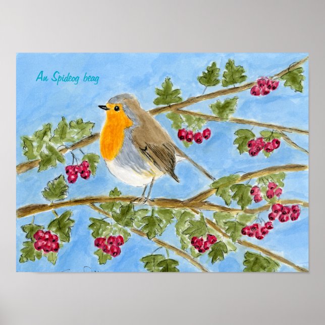 Um Poster de pano de espuma (Frente)