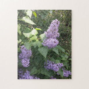 Um Quebra-cabeça Roxo Lilac