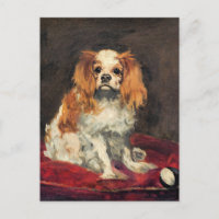 Um rei Charles Spaniel, cartão postal de arte