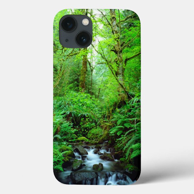 Um riacho em uma floresta antiga (Verso)