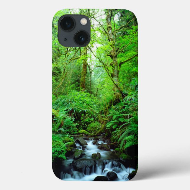 Um riacho em uma floresta primária (Verso)