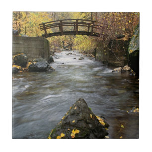 Um rio que funciona através da garganta americana