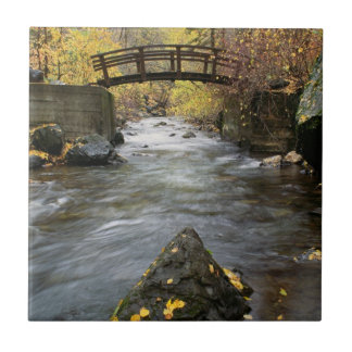 Um rio que funciona através da garganta americana