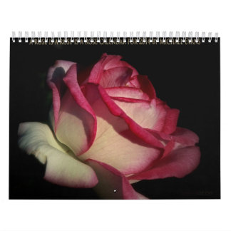 um rosa é um rosa é um calendário do rosa para