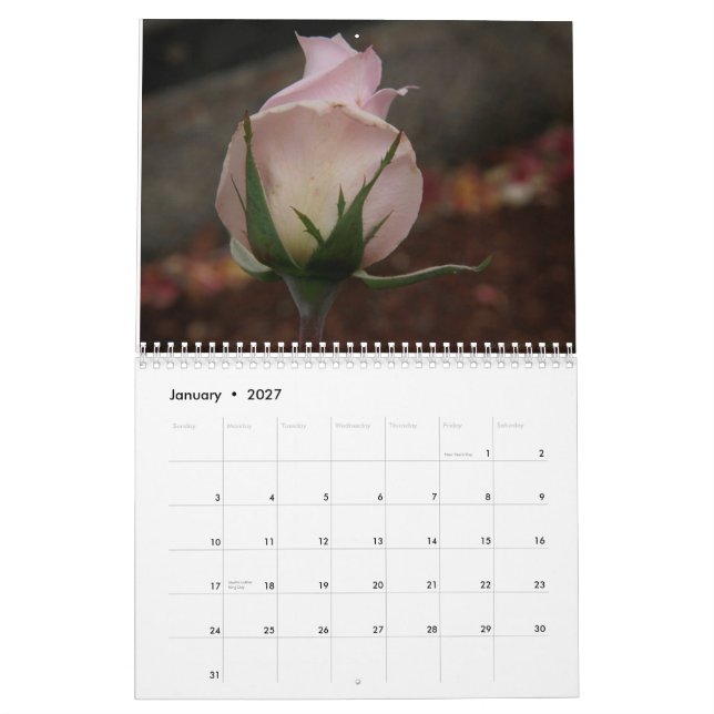 um rosa é um rosa é um calendário do rosa para (Jan 2027)