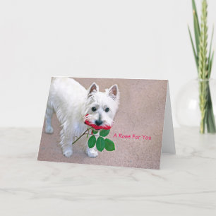 "Um Rosa para ti", cartão de boas-vindas