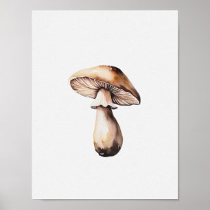 Um simples Poster de cogumelos