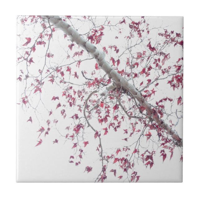 Um toque de folhas rosa (Frente)