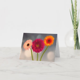 Um Trio de Cartão de Saudação Dobrada de Gerberas