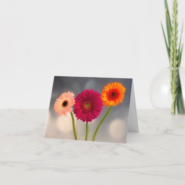 Um Trio de Cartão de Saudação Dobrado de Gerberas (Frente)