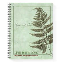 Um vislumbre da natureza: Acrorumohra hasseltii Fe