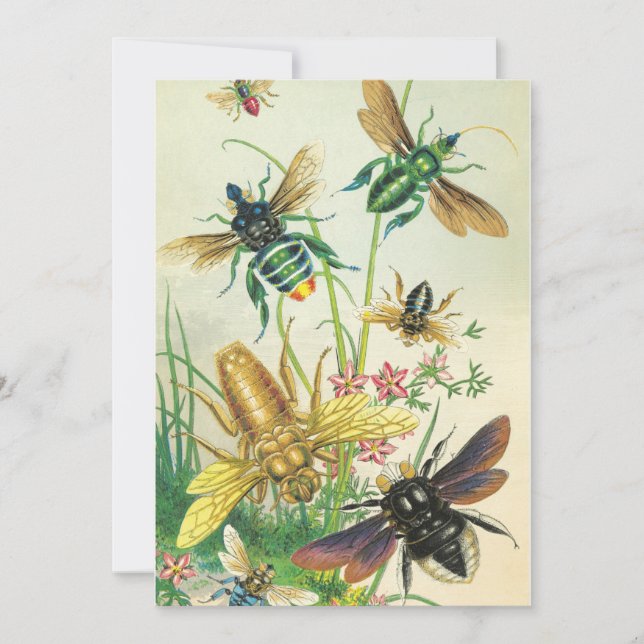 Um zumbido do Convite de festas das abelhas (Frente)