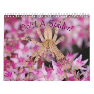Uma Aranha! Calendário