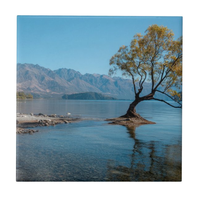 Uma Árvore em um Lago (Frente)