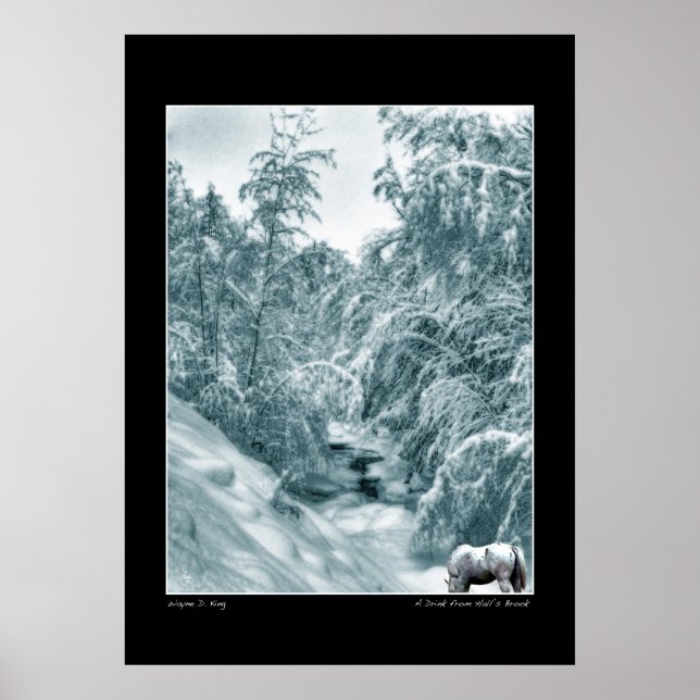 Uma bebida de Halls Brook Poster (Frente)