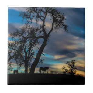 Uma brecha no Azulejo de Arte de Cavalo de Tempest