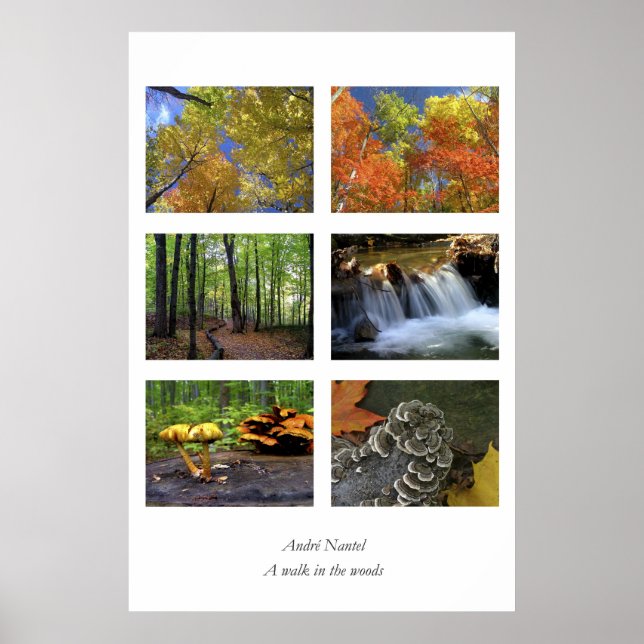 Uma caminhada na floresta, poster (Frente)