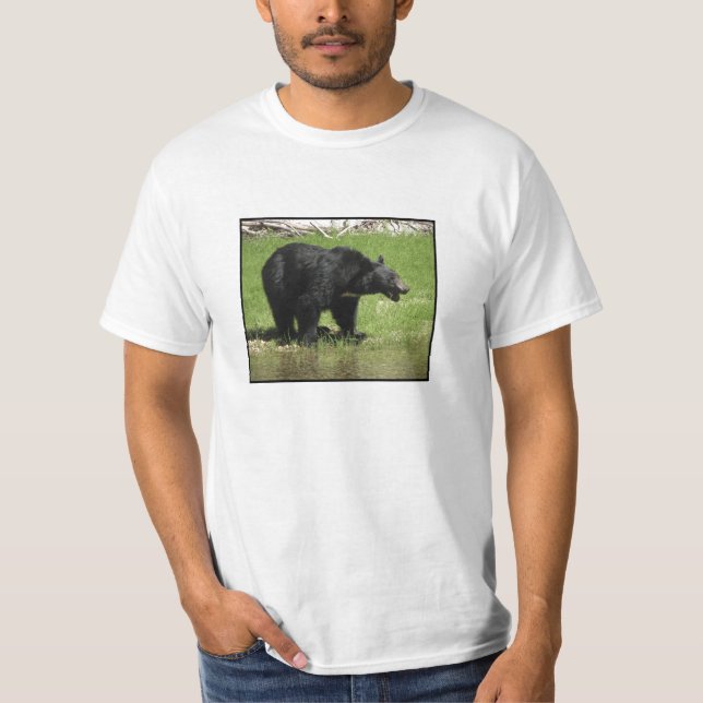 Uma camisa da Declaração de Direitos do urso (Frente)