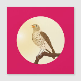 Uma canção se sentou em um galho