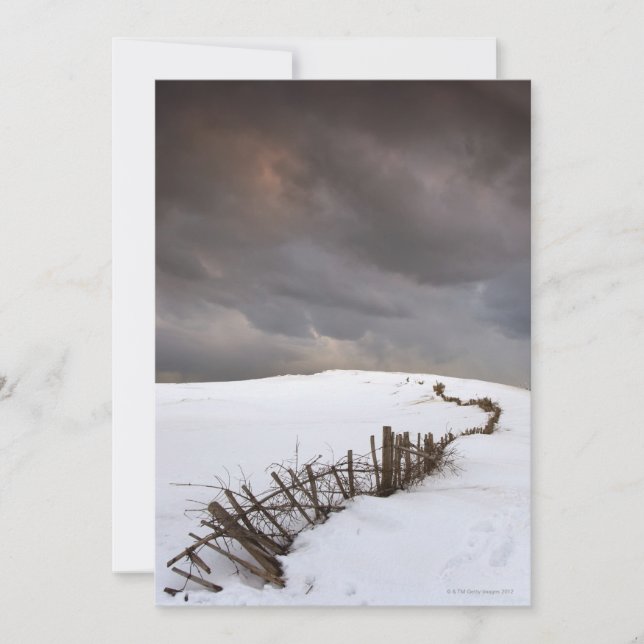 Uma cerca quebrada (Frente)