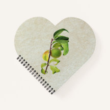 Uma Composição Personalizada De Peach Isolada