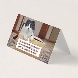 Uma dimensão alternativa