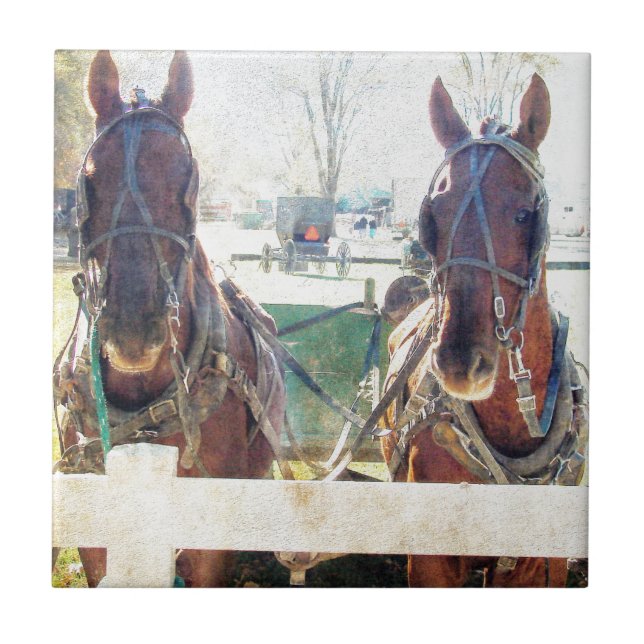 Uma Equipe de Dois Cavalos (Frente)