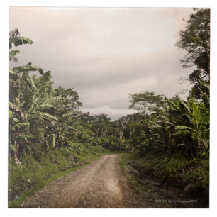 Uma estrada remota da selva