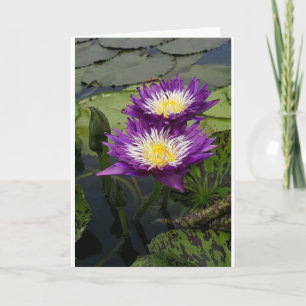 UMA FLOR BONITA PARA O CARTÃO "SEU ANIVERSÁRIO"