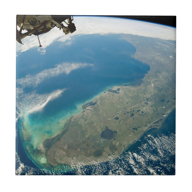 Uma Flórida Oblíqua, Na Costa Sudeste (Frente)