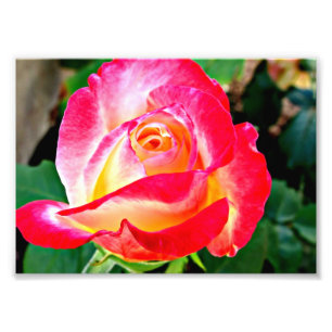 Uma foto cor-de-rosa bonita