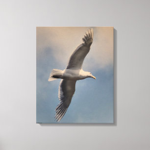 Uma gaivota voando em Impressão de Tela Esticada