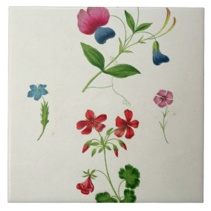 Uma ilustração 'de um tratado novo na flor Pai