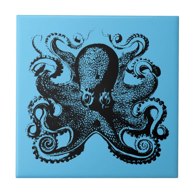 Uma jornada náutica para o seu polvo doméstico (Frente)