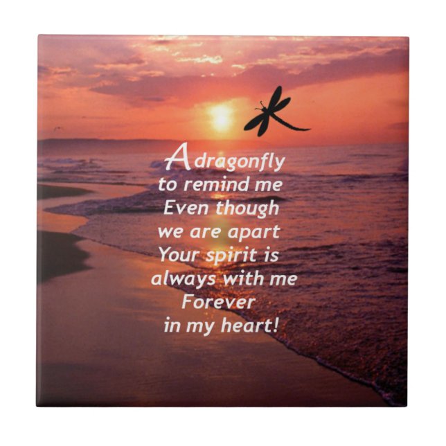 Uma libélula para lembrar-me (Frente)