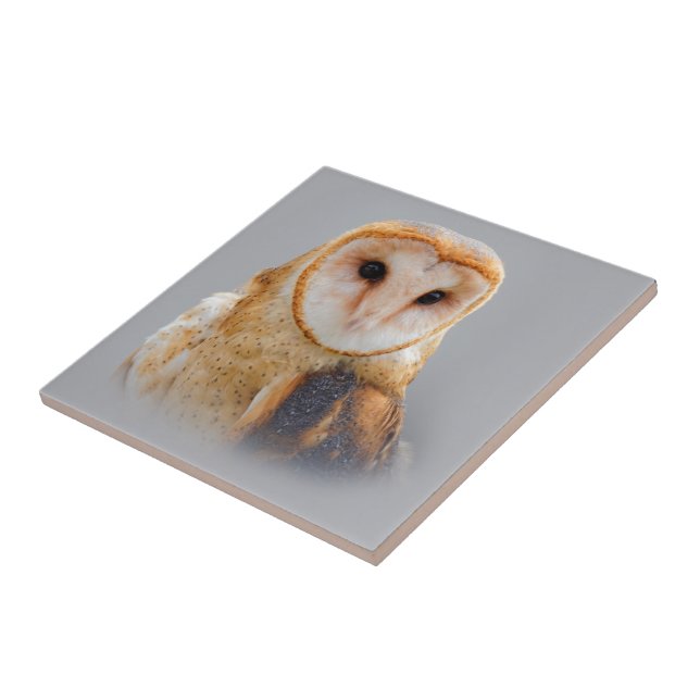 Uma Linda Serene Barn Owl (Lateral)