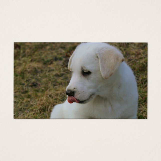 Uma língua de mamilos (Frente)