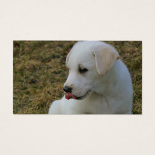 Uma língua dos filhotes de cachorro