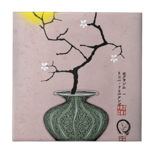 uma lua cheia 1 dos fernandes tony